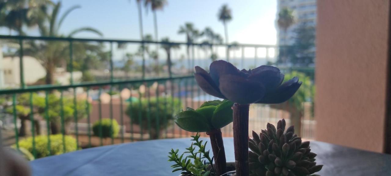Acapulco Paradise Appartamento *